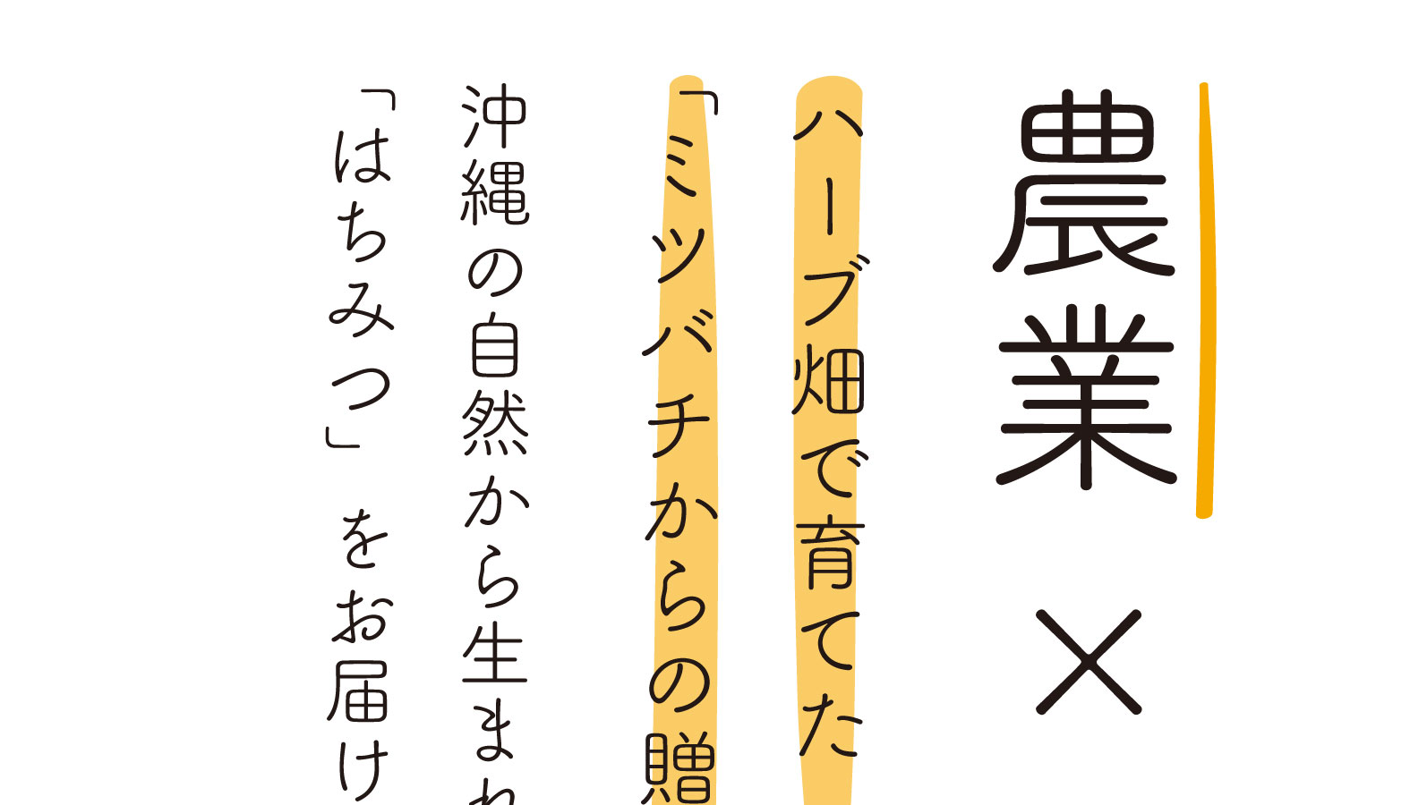 農業×養蜂　ハーブ畑で育てた「ミツバチからの贈り物」